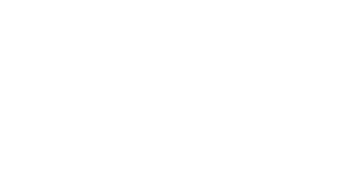 VoltEnt